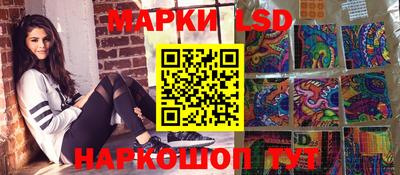 mdpv Ярославль