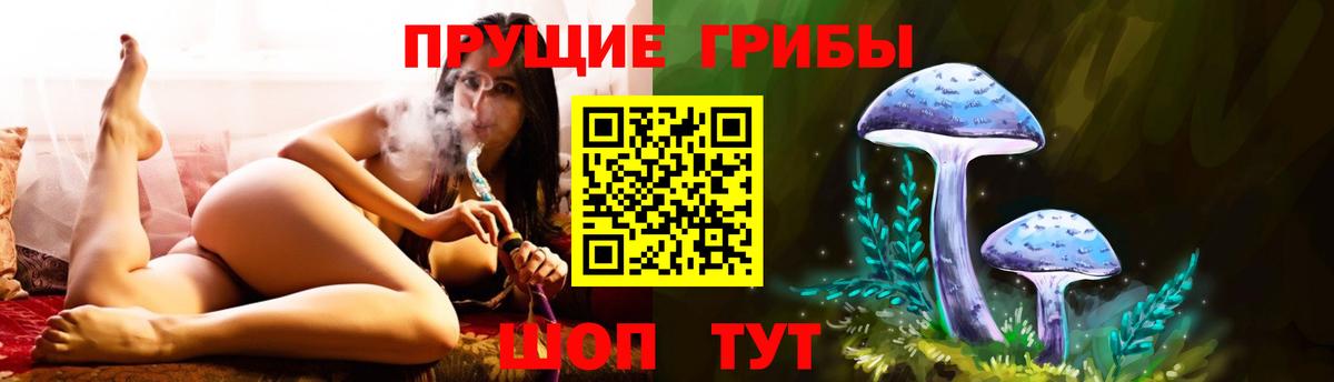 Псилоцибиновые грибы ЛСД Вятские Поляны